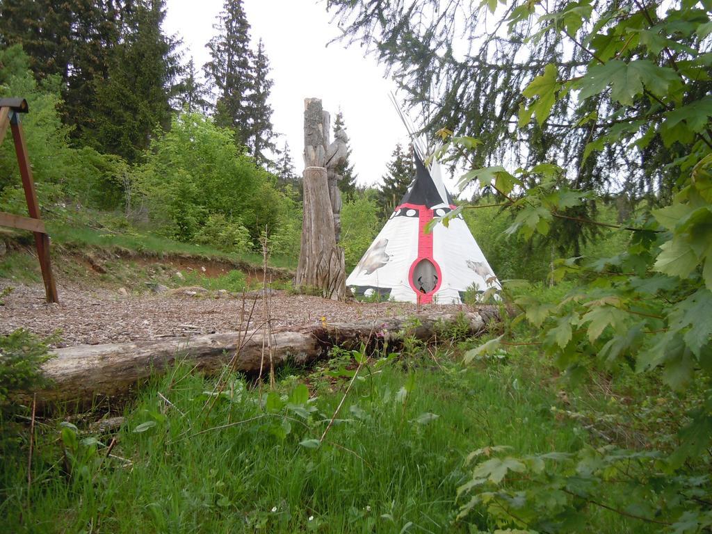 Klosterweiherhof Dachsberg im Schwarzwald エクステリア 写真