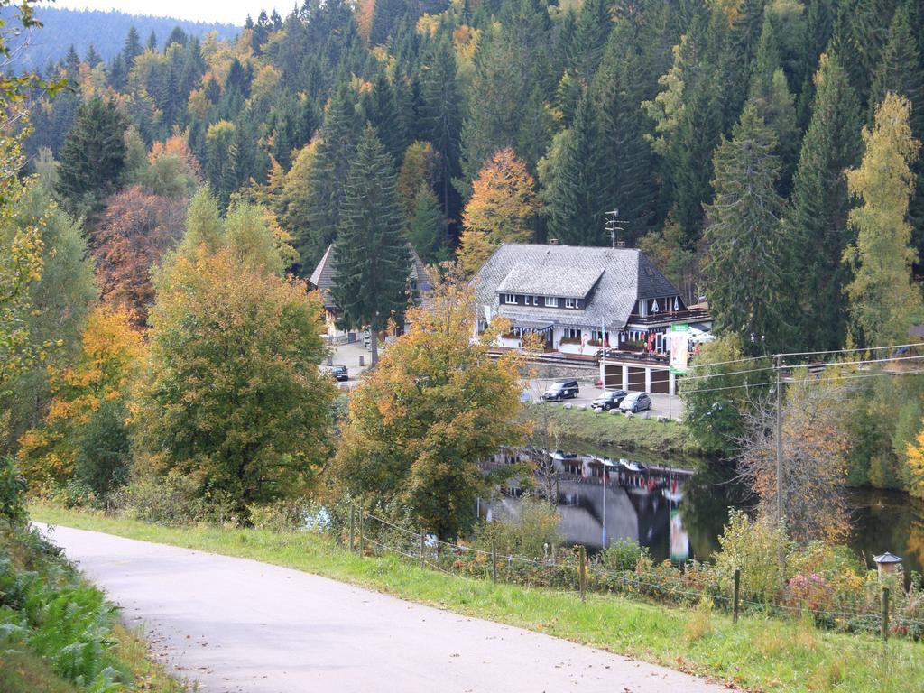 Klosterweiherhof Dachsberg im Schwarzwald エクステリア 写真