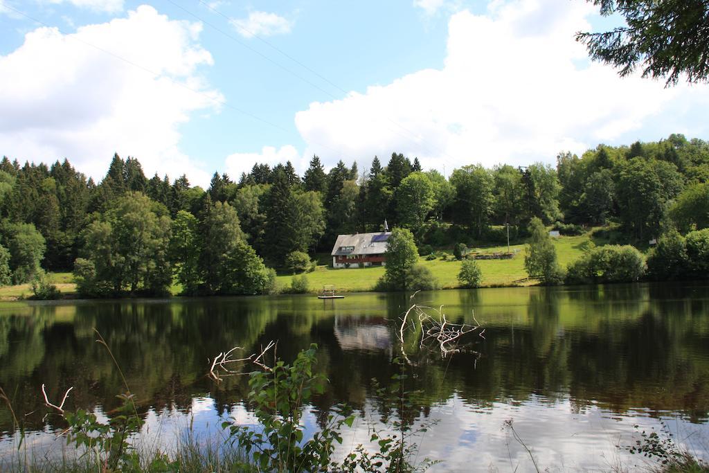Klosterweiherhof Dachsberg im Schwarzwald エクステリア 写真
